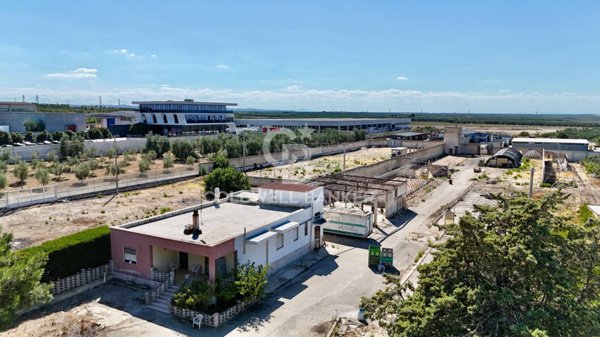 terreno agricolo in vendita ad Andria