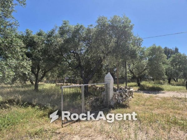 casa indipendente in vendita ad Andria in zona Castel del Monte