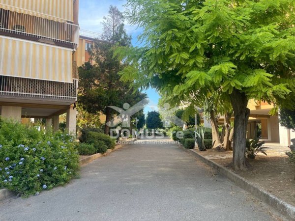 appartamento in vendita ad Andria