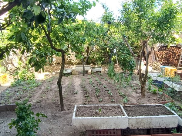 casa indipendente in vendita ad Andria