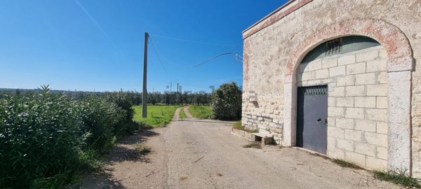 esavano in vendita a Barletta in zona Centro Città