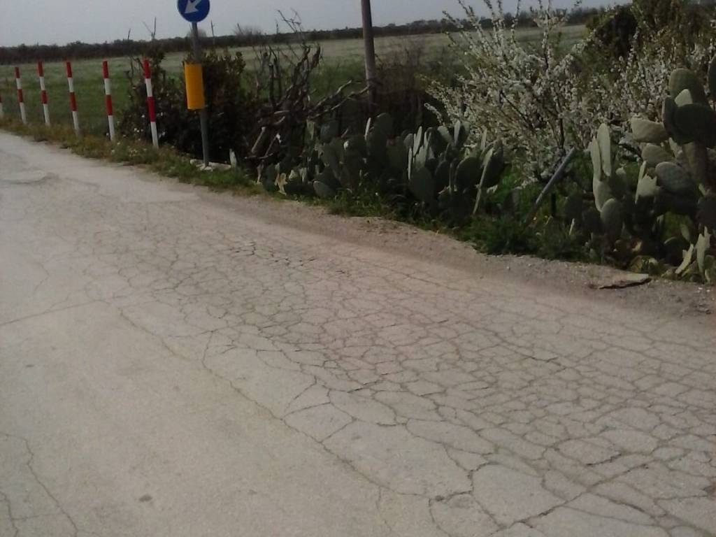 terreno agricolo in vendita a Barletta in zona Fiumara