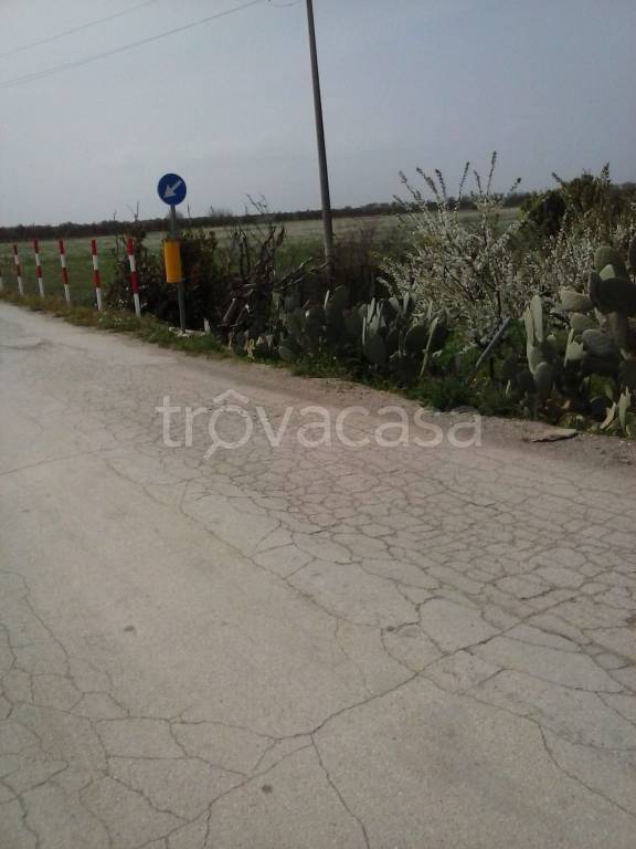 terreno agricolo in vendita a Barletta in zona Fiumara