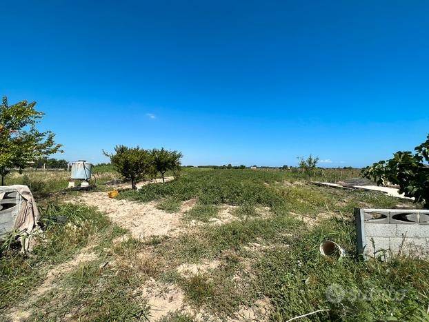 terreno agricolo in vendita a Barletta in zona Borgovilla