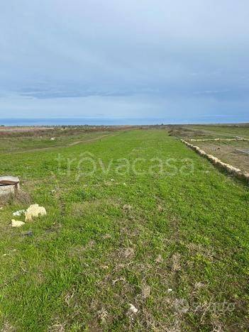 terreno agricolo in vendita a Barletta in zona Fiumara