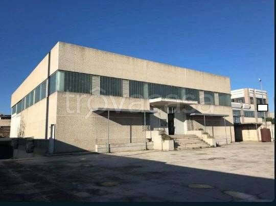 negozio in vendita a Barletta