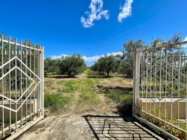 appartamento in vendita a Barletta in zona Montaltino