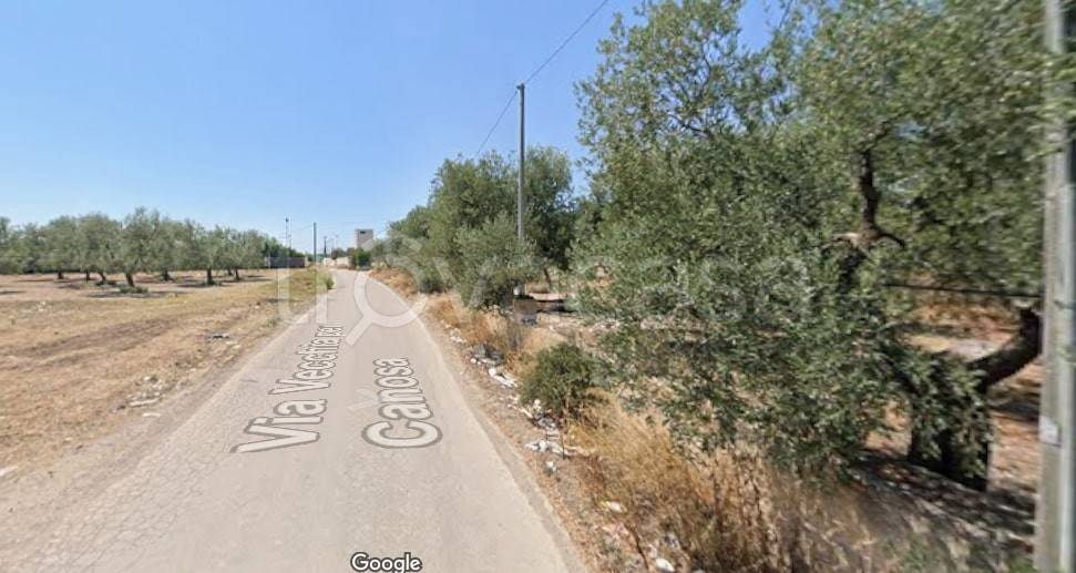 terreno agricolo in vendita a Barletta in zona Borgovilla