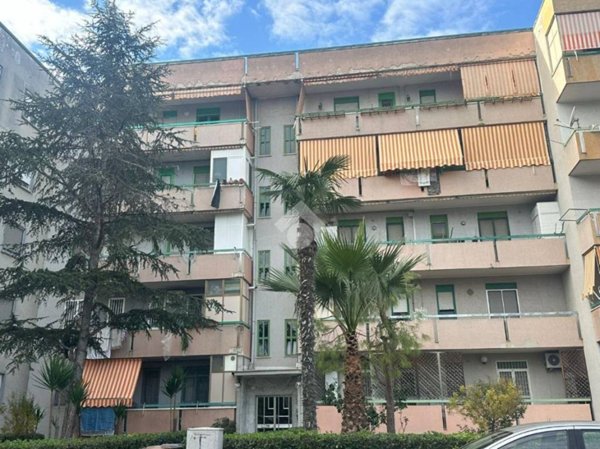 appartamento in vendita a Barletta in zona Patalini