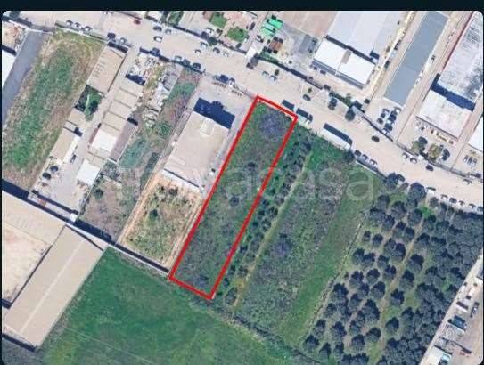 terreno agricolo in vendita a Barletta