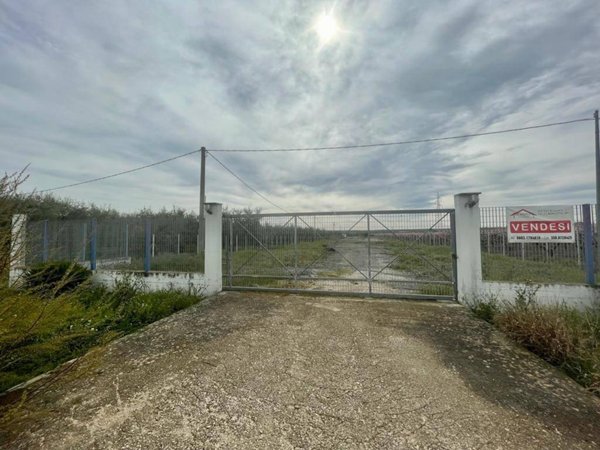 terreno agricolo in vendita a Barletta in zona Borgovilla