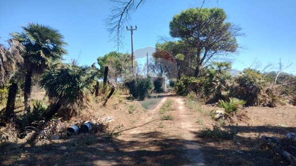 terreno agricolo in vendita a Barletta in zona Centro Città