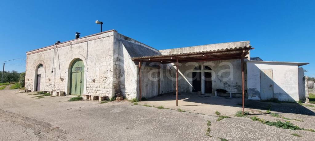terreno agricolo in vendita a Barletta in zona Montaltino
