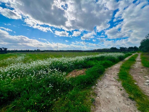 terreno agricolo in vendita a Barletta in zona Centro Città