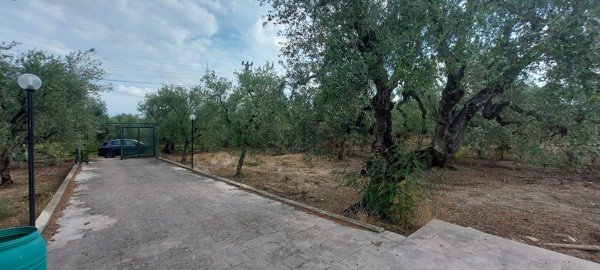 appartamento in vendita a Barletta in zona Montaltino