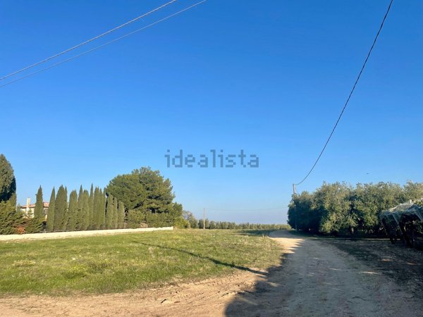 esavano in vendita a Barletta in zona Centro Città