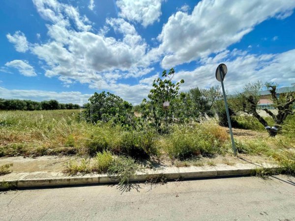 terreno agricolo in vendita a Barletta in zona Centro Città
