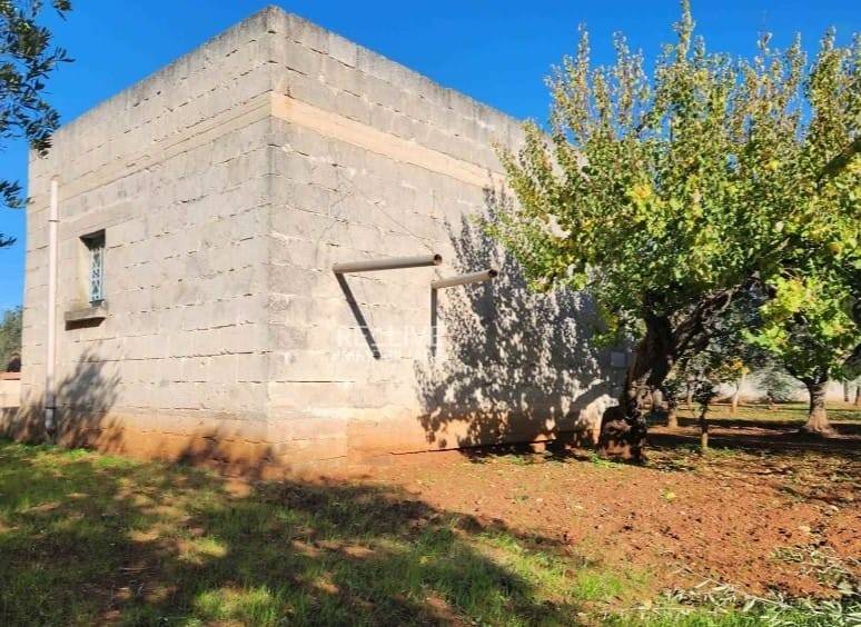 terreno agricolo in vendita a Barletta in zona Montaltino