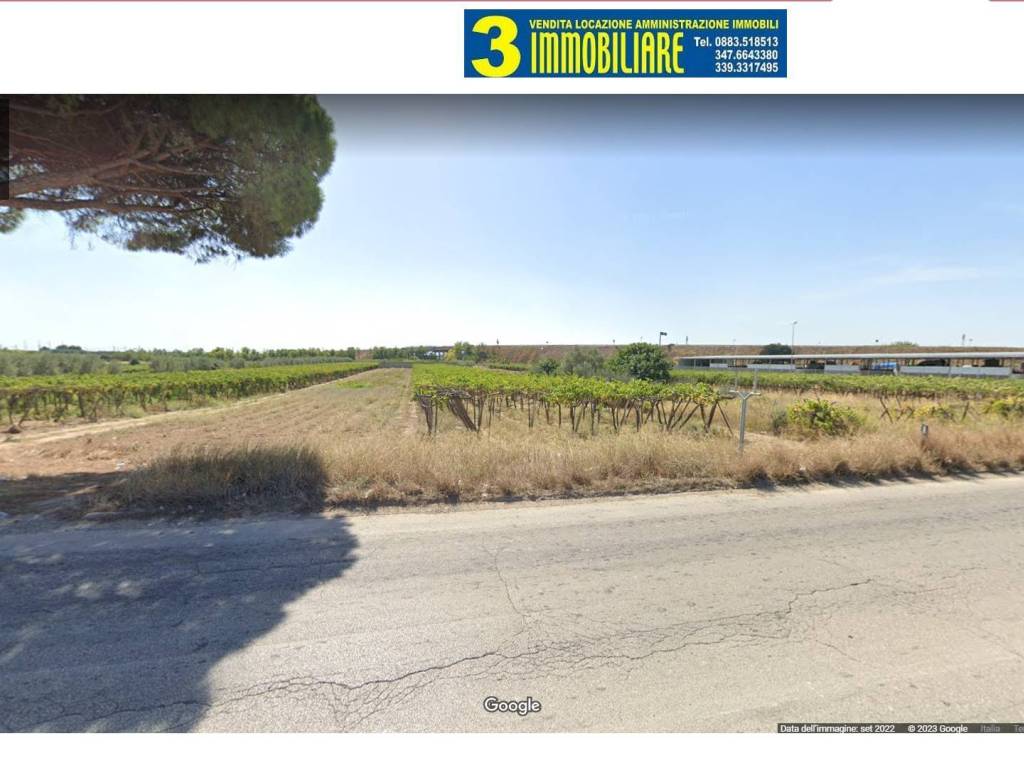 terreno agricolo in vendita a Barletta in zona Fiumara