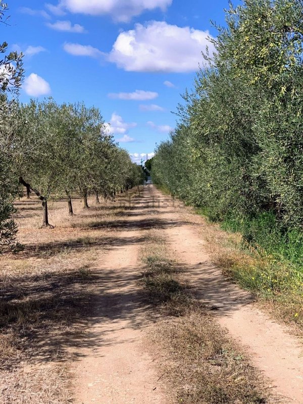 appartamento in vendita a Barletta