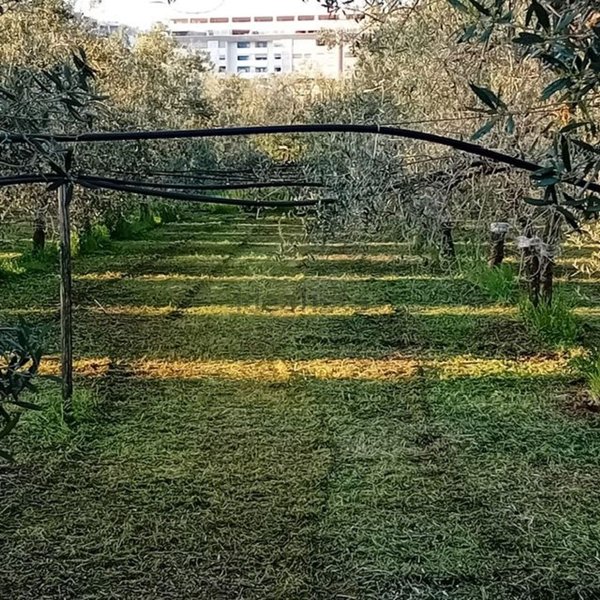 appartamento in vendita a Barletta