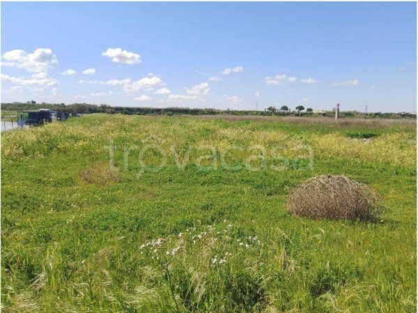 terreno agricolo in vendita a Barletta in zona Fiumara