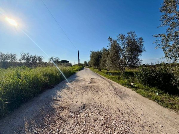 terreno agricolo in vendita a Barletta in zona Borgovilla