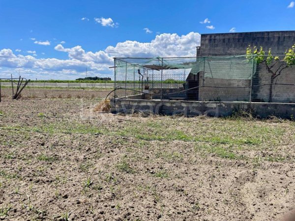 terreno agricolo in vendita a Barletta in zona Fiumara
