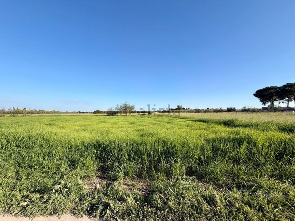 terreno agricolo in vendita a Barletta in zona Centro Città