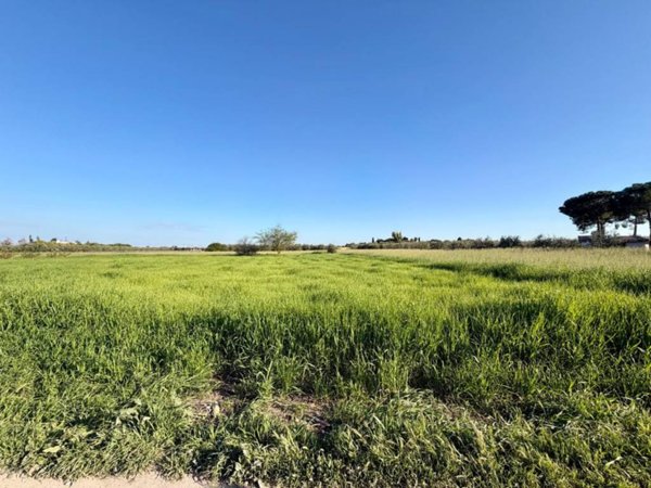 terreno agricolo in vendita a Barletta in zona Montaltino
