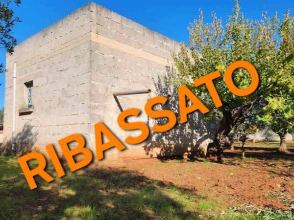 terreno agricolo in vendita a Barletta in zona Montaltino