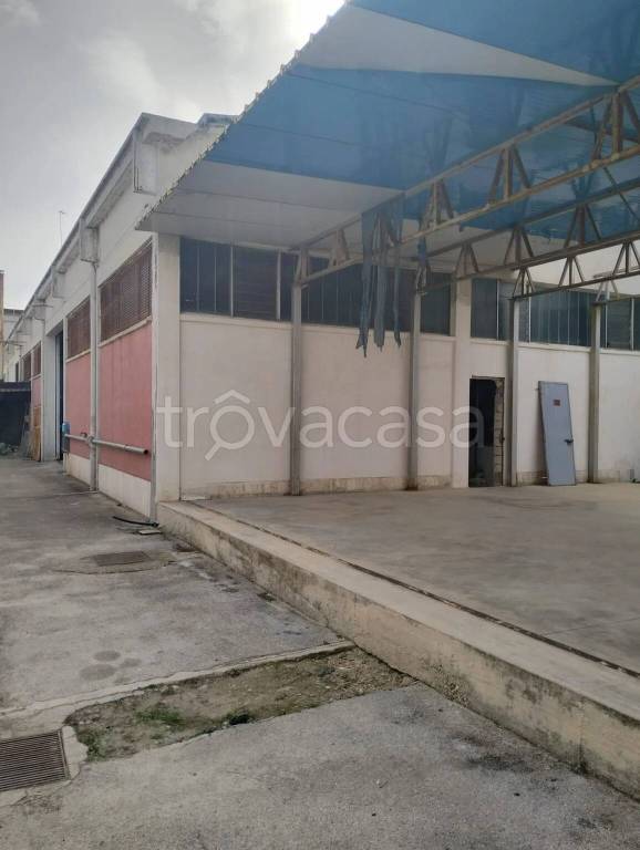 appartamento in vendita a Barletta