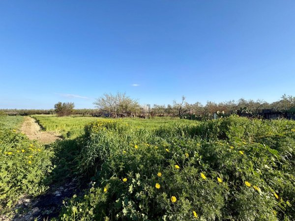 terreno agricolo in vendita a Barletta in zona Centro Città