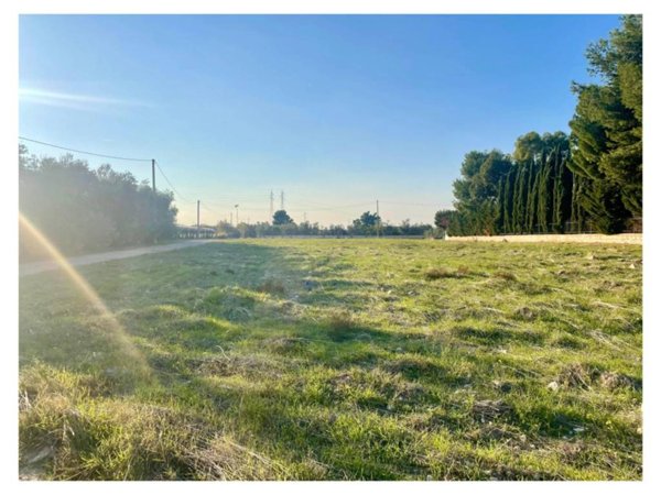 terreno agricolo in vendita a Barletta in zona Montaltino