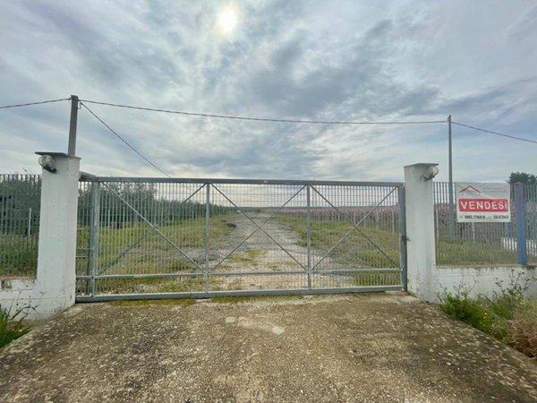 terreno agricolo in vendita a Barletta in zona Patalini
