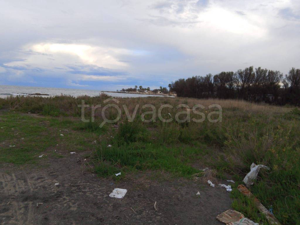 terreno agricolo in vendita a Barletta