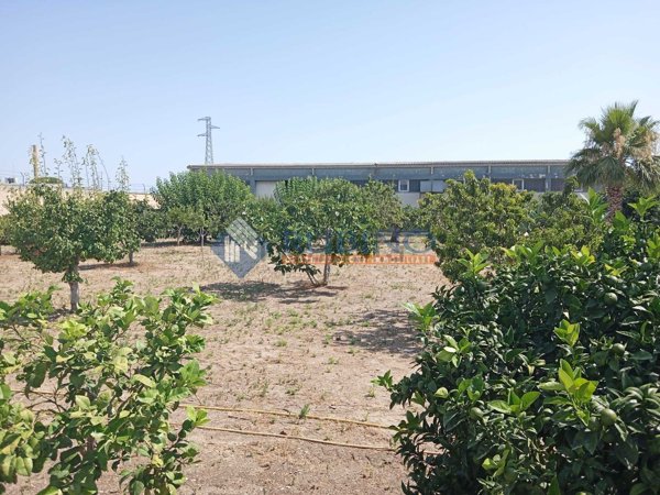 terreno in vendita a Barletta