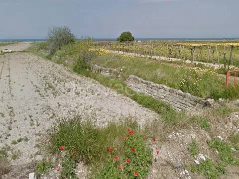 terreno agricolo in vendita a Barletta in zona Settefrati