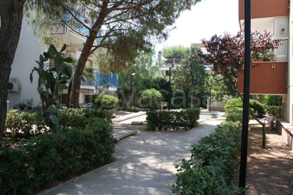 appartamento in vendita a Bisceglie