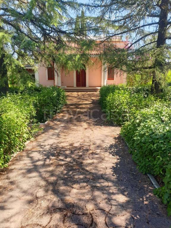 appartamento in vendita a Bisceglie