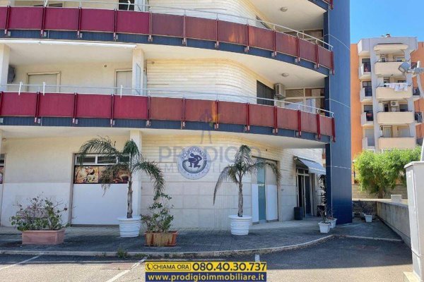 negozio in vendita a Bisceglie