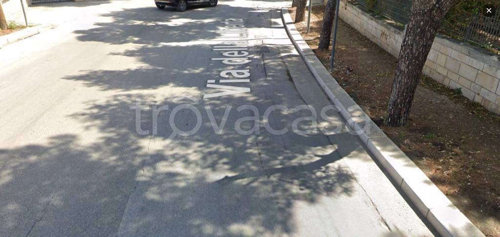 terreno agricolo in vendita a Bisceglie