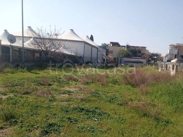appartamento in vendita a Bisceglie