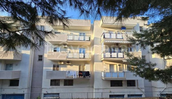 appartamento in vendita a Bisceglie