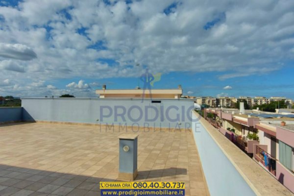 appartamento in vendita a Bisceglie