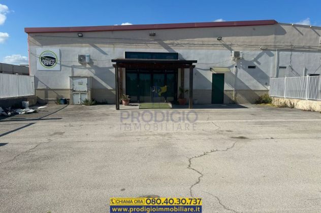 locale commerciale in vendita a Bisceglie