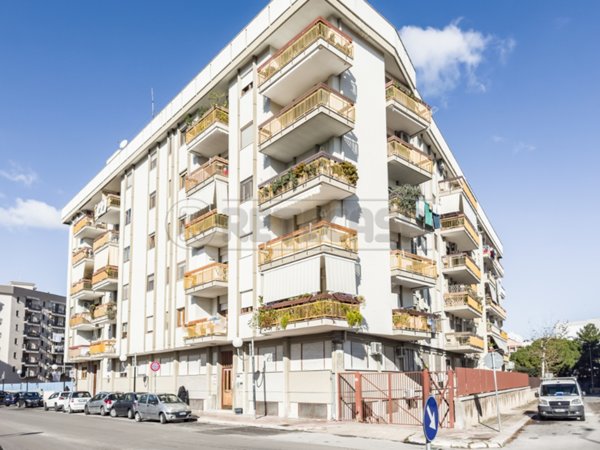 appartamento in vendita a Bisceglie