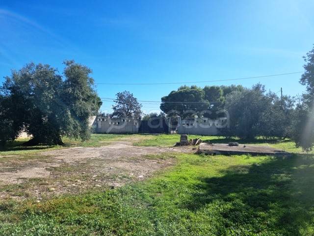 terreno agricolo in vendita a Bisceglie
