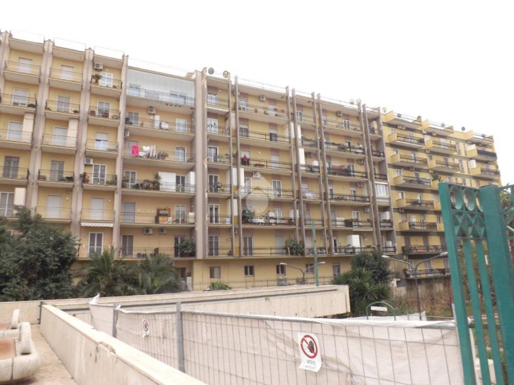 appartamento in vendita a Bisceglie