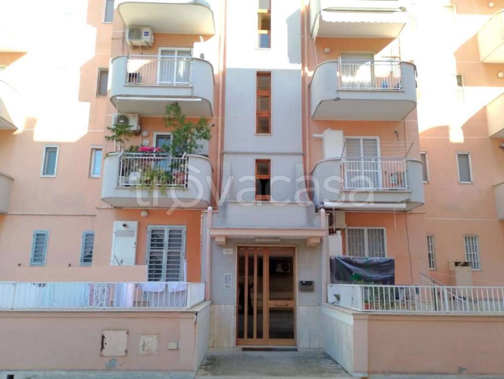 appartamento in vendita a Bisceglie